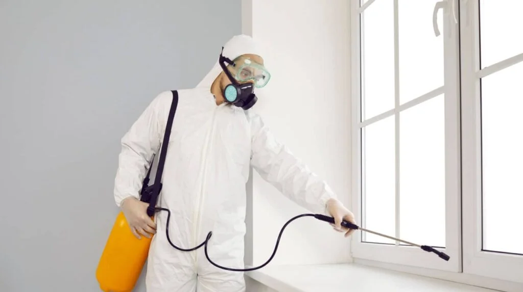 Servicio urgente de control de plagas en Aravaca: chinches, sarna, legionella y aire interior. Servicio urgente de control de plagas en Aravaca: chinches, sarna, legionella y aire interior.